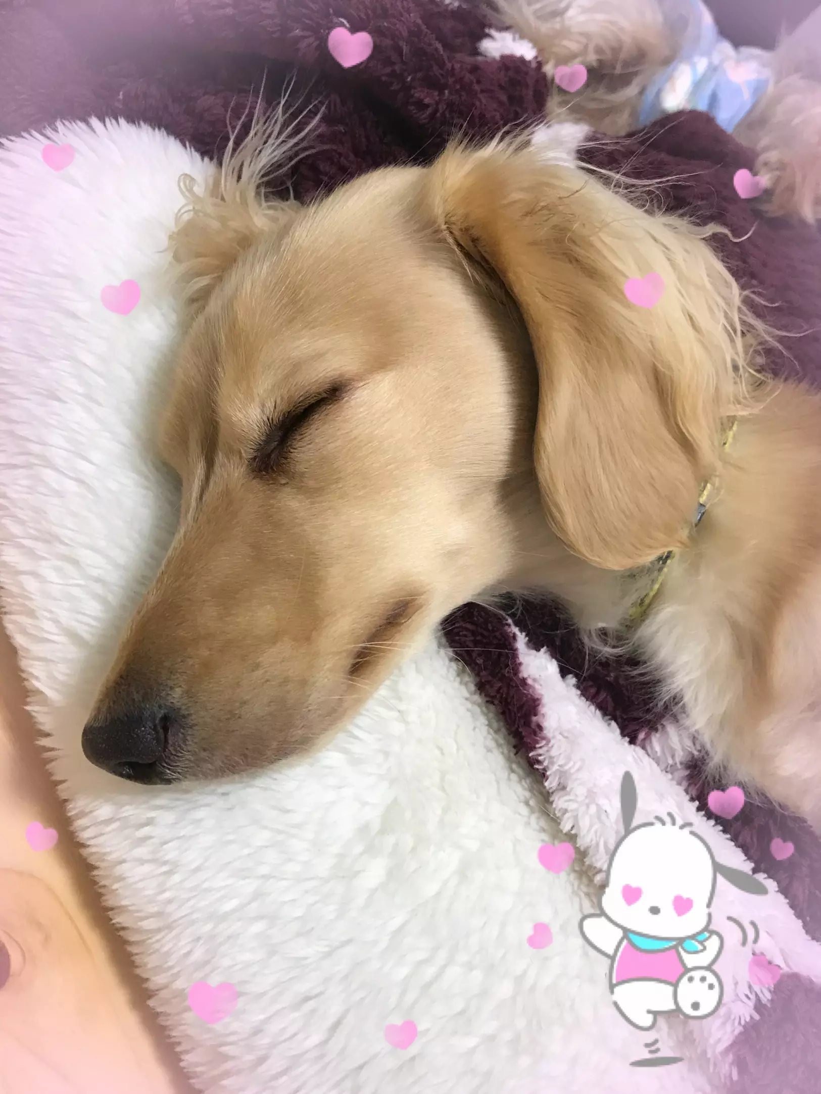 うい🐻⭐