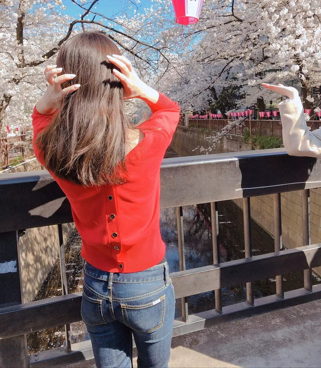 ❀葵*❀٭
