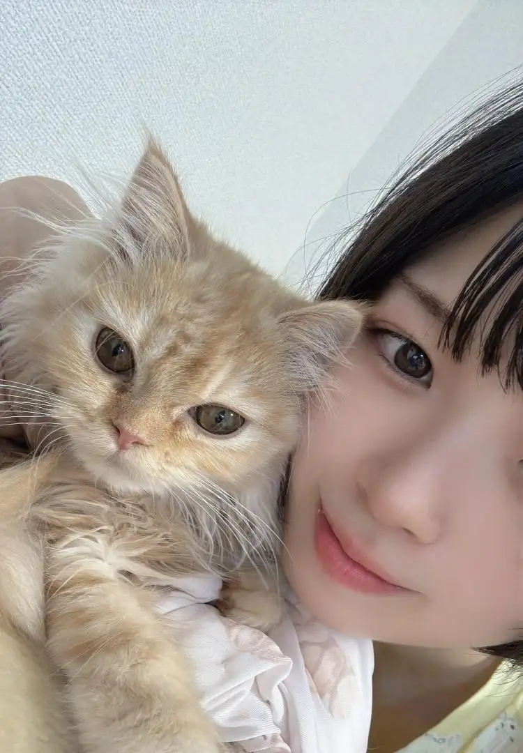 miku🐈