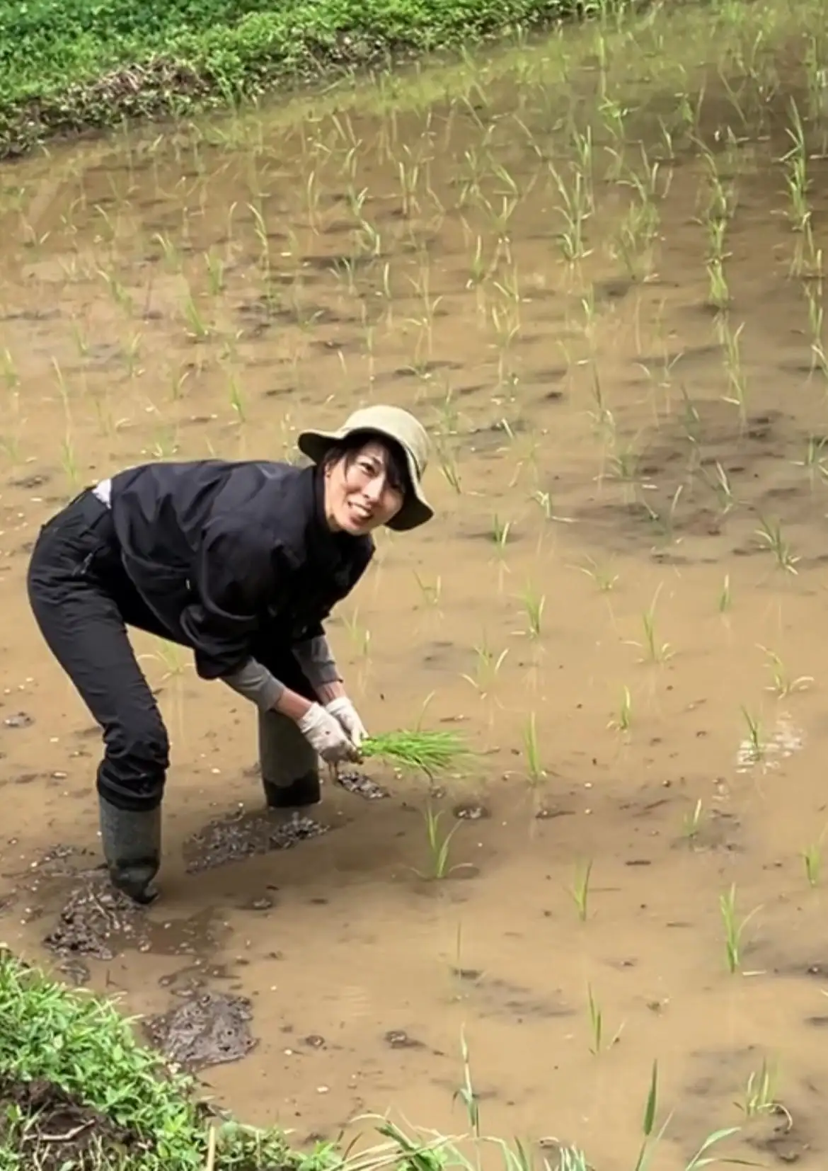 まりやぎさん
