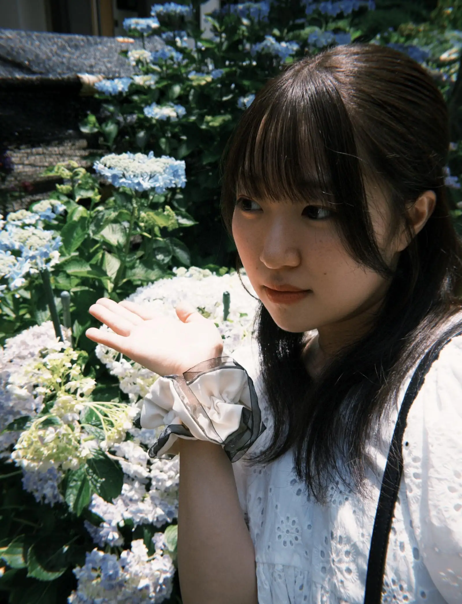 あん