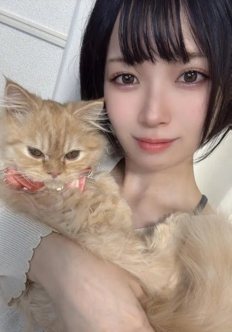 miku🐈
