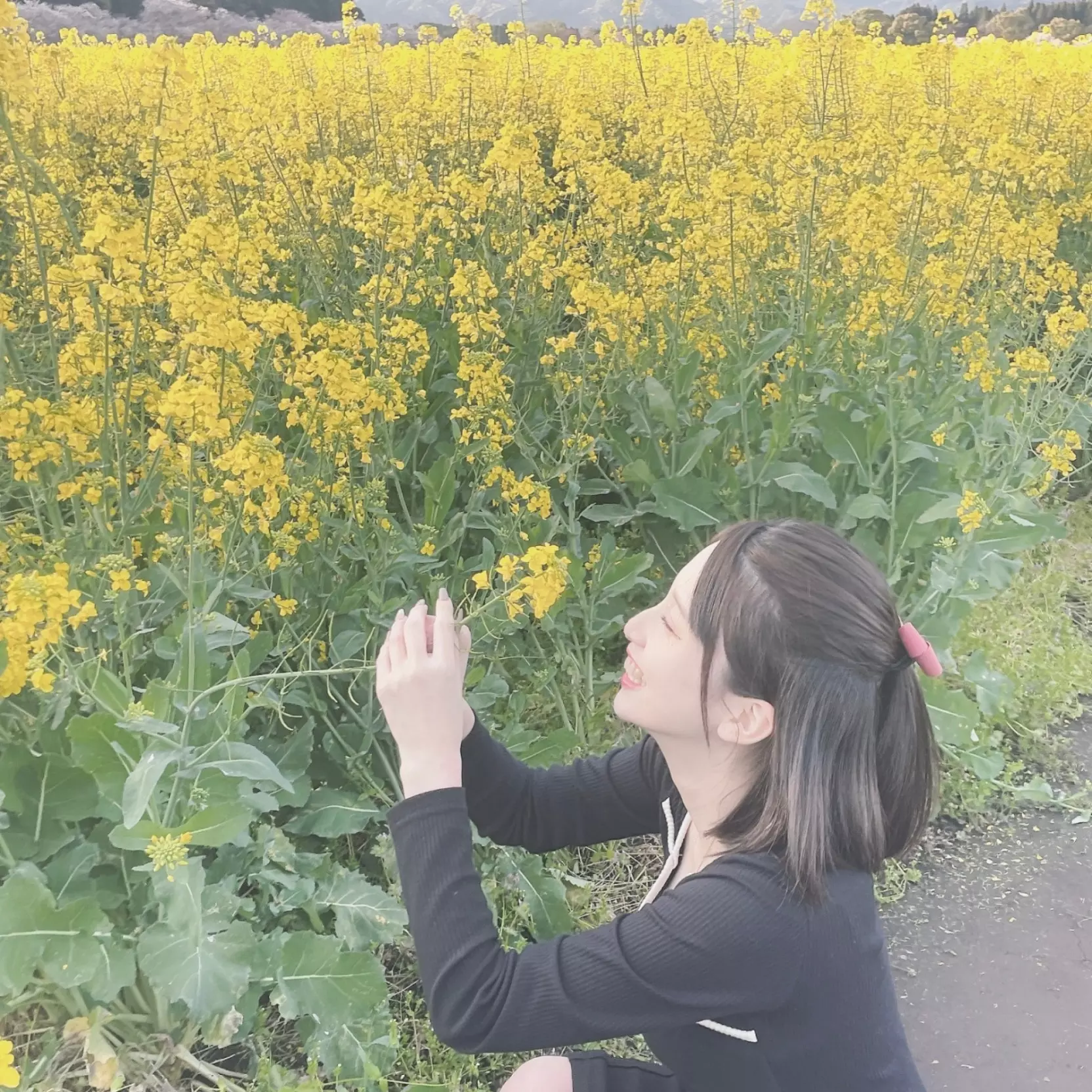 暇だし