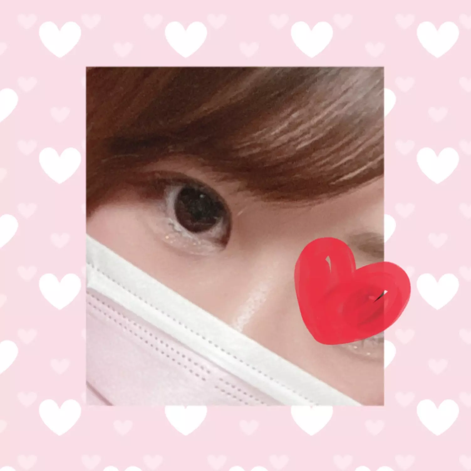 スケジュール