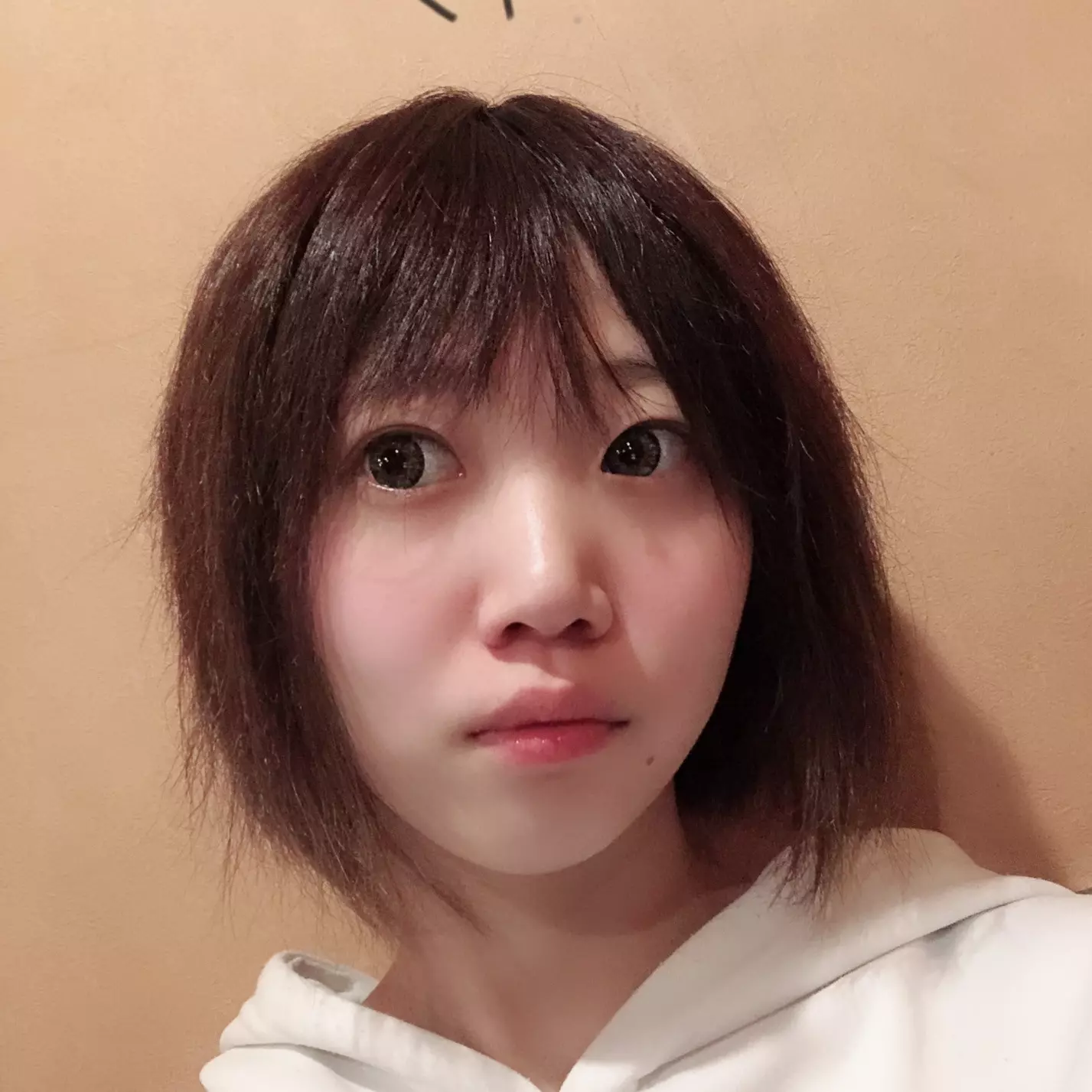 本日24時から26時の出演について