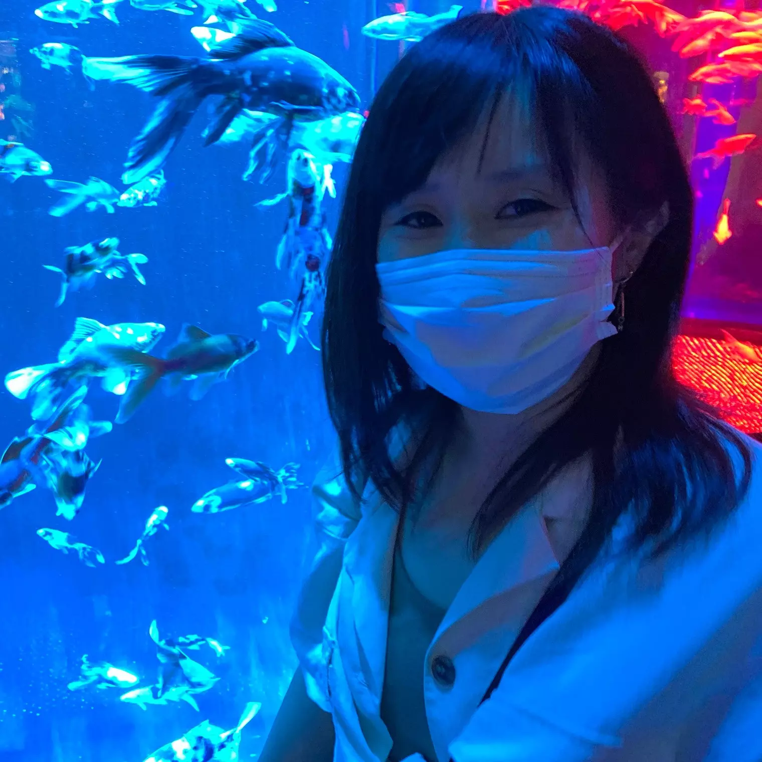 数ヶ月ぶりです