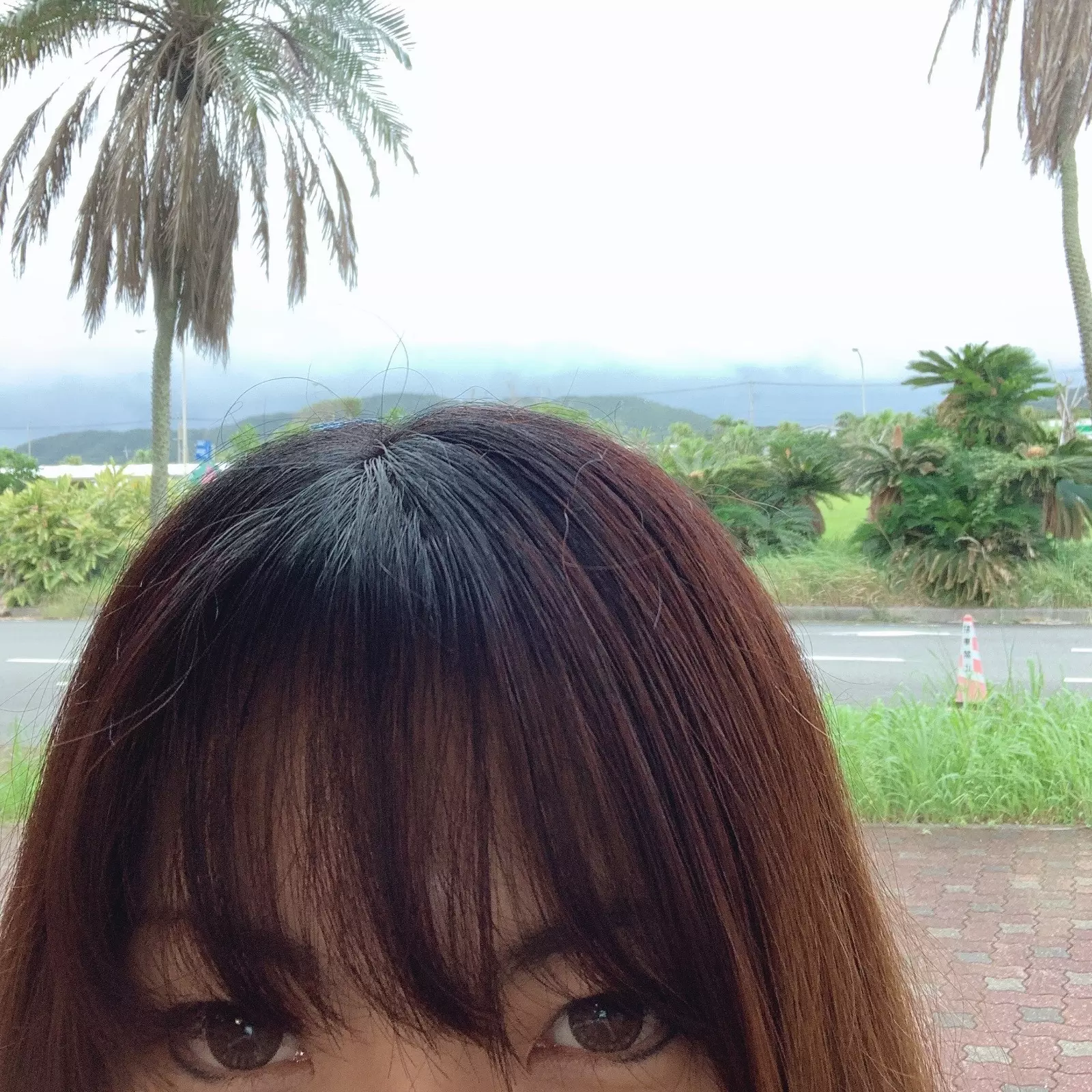 チャットできるょぉになったぁ！