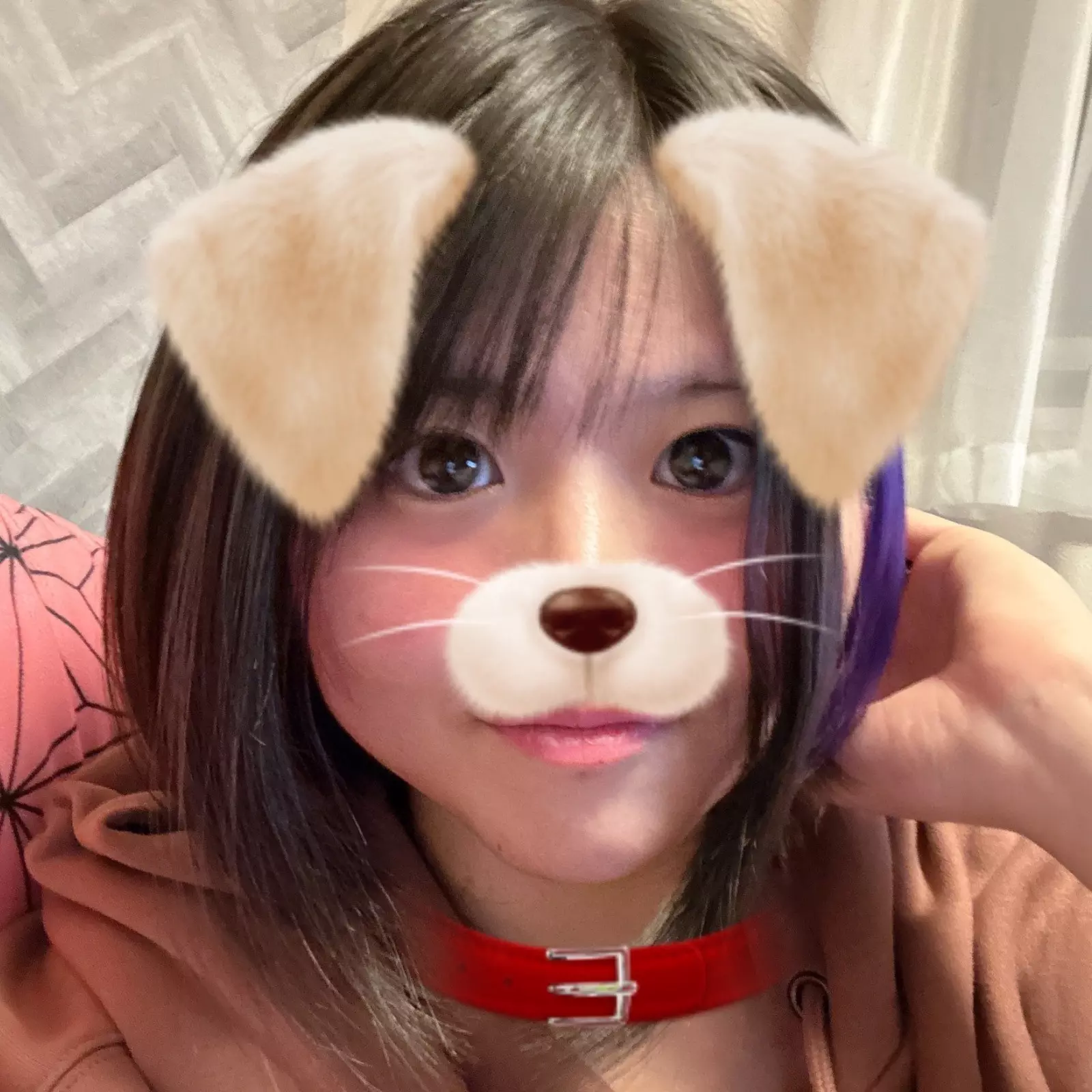 明日も
