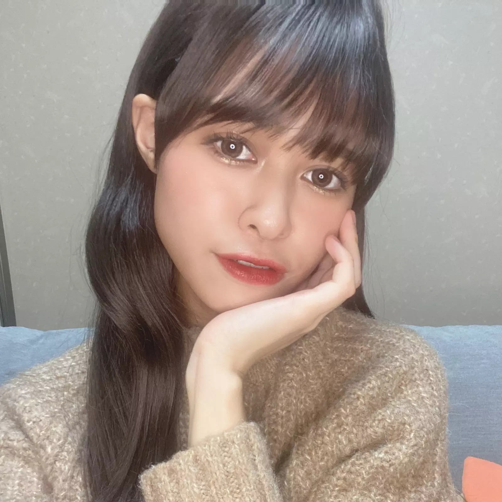 猫アレルギー…?