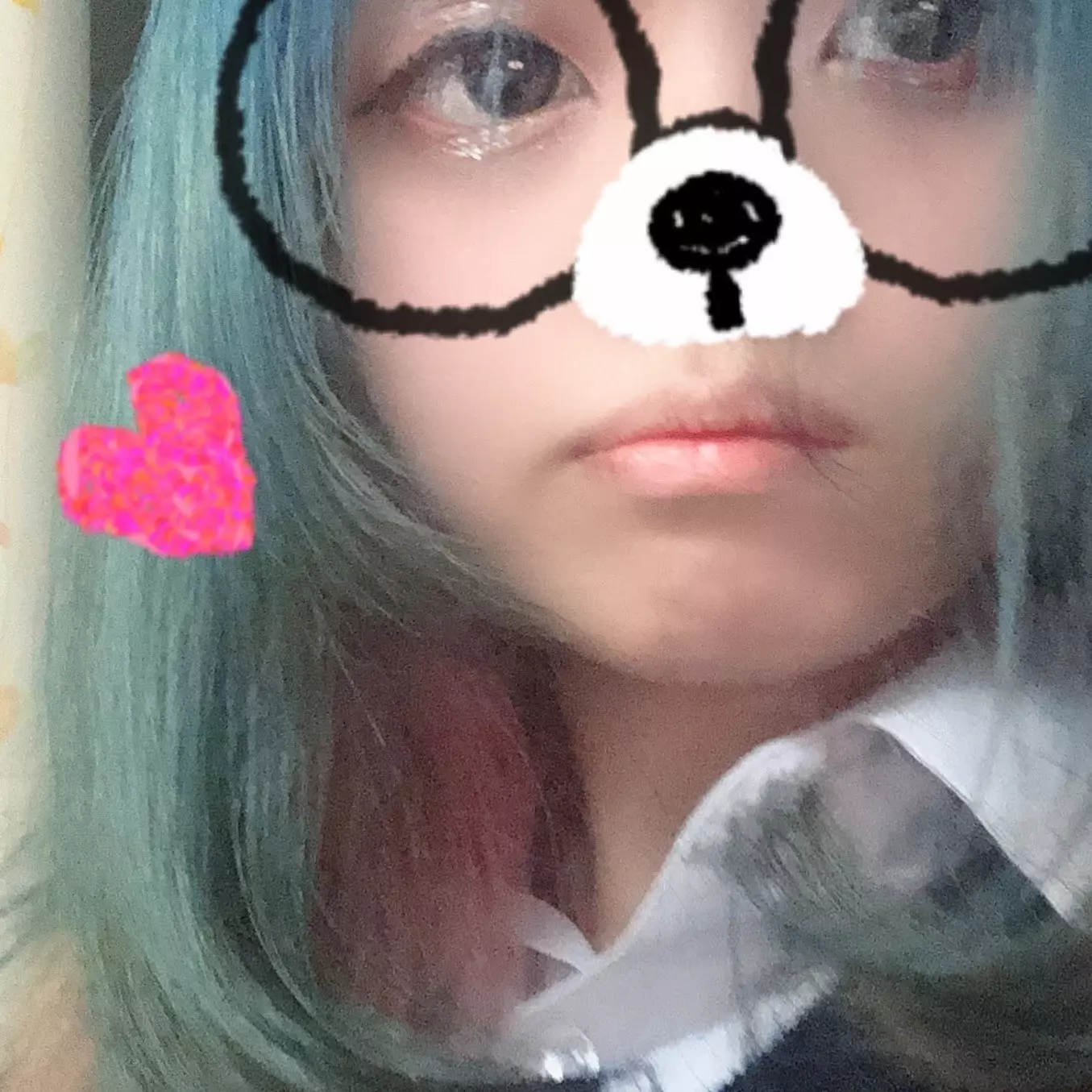 初めまして！
