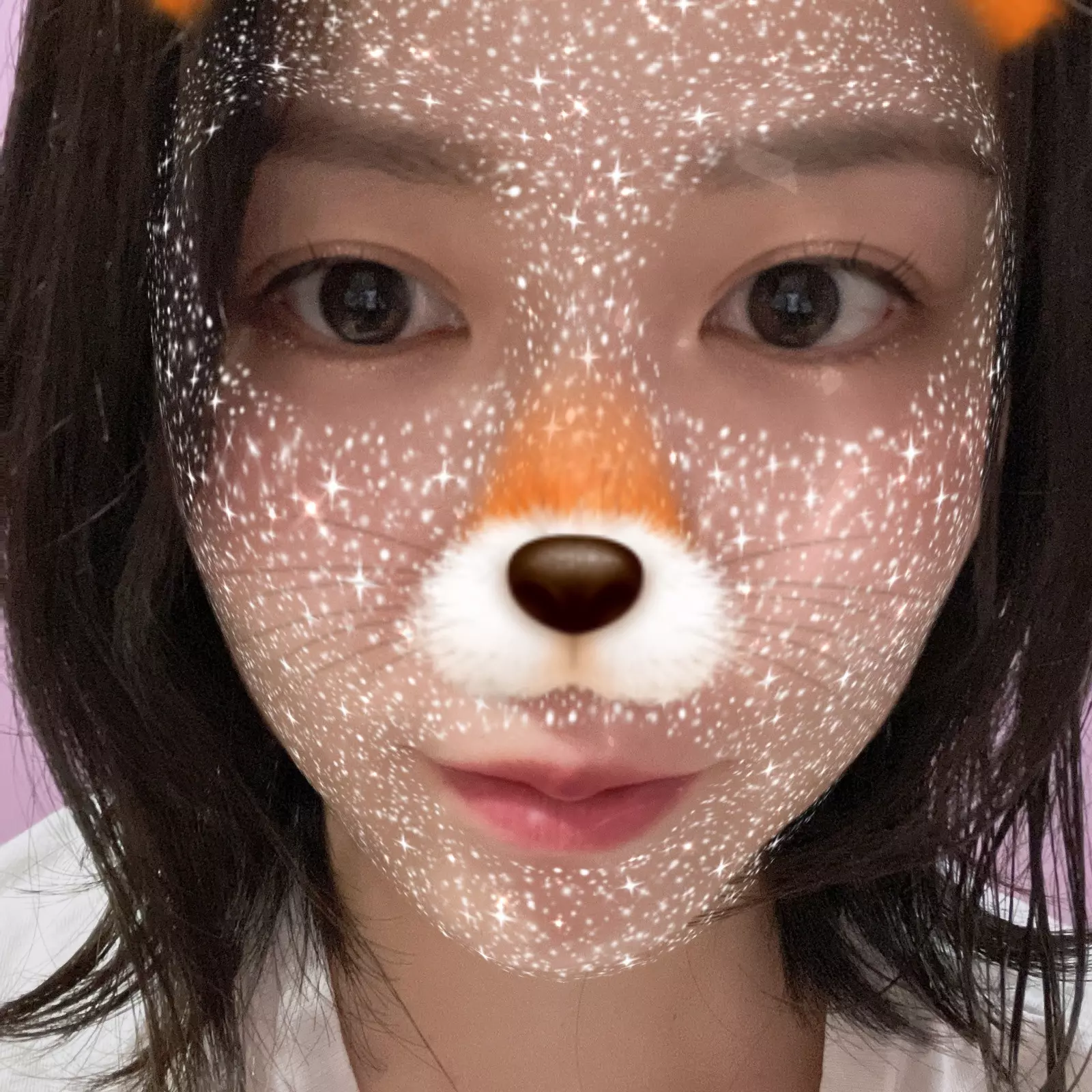 お久しぶりです