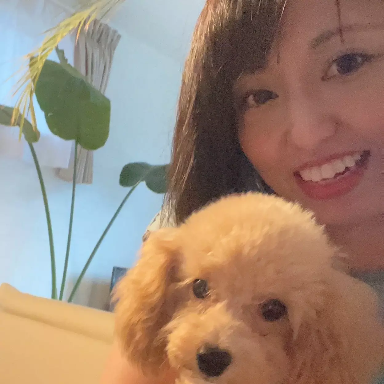 最近忙しいまるさん