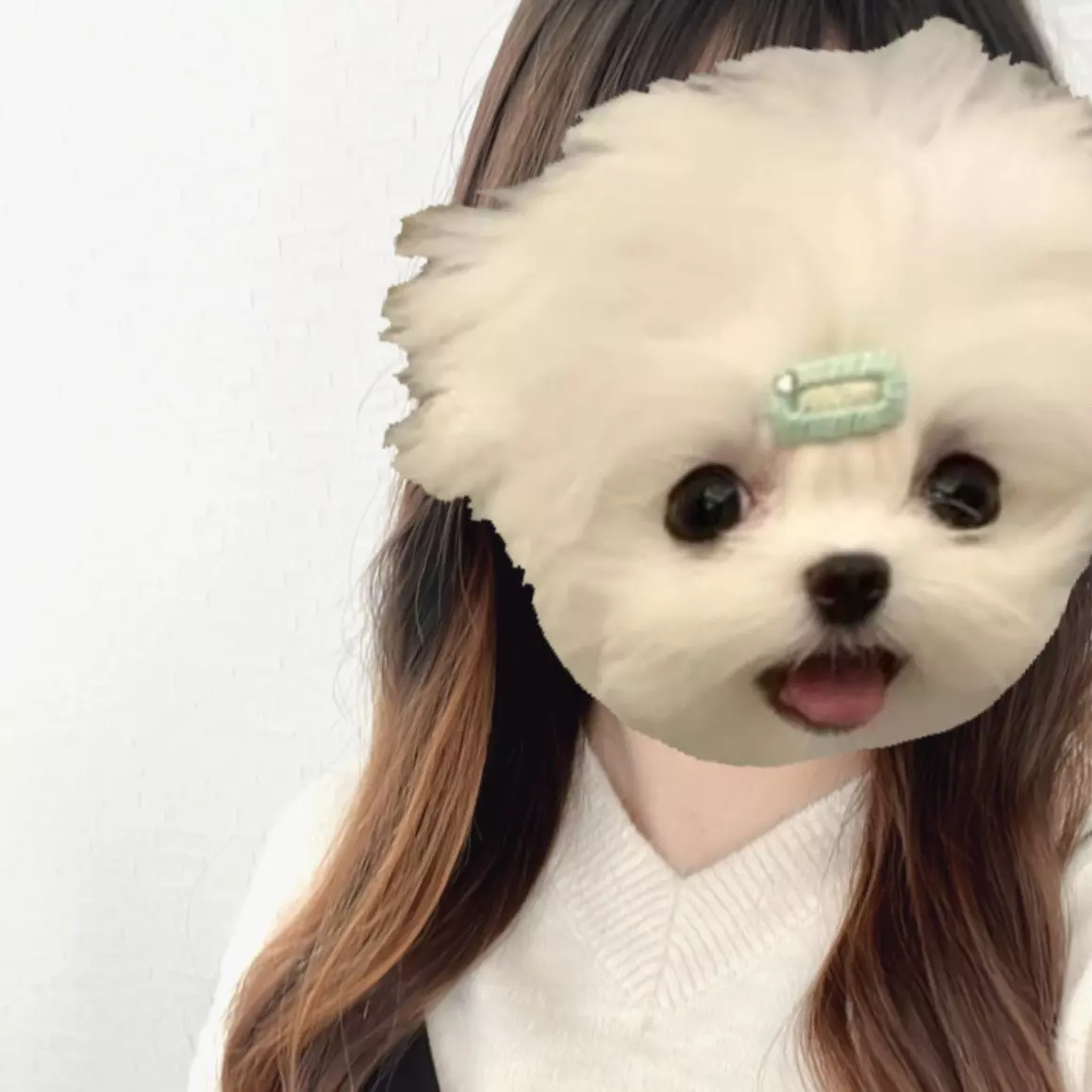 夜も待ってま〜す！