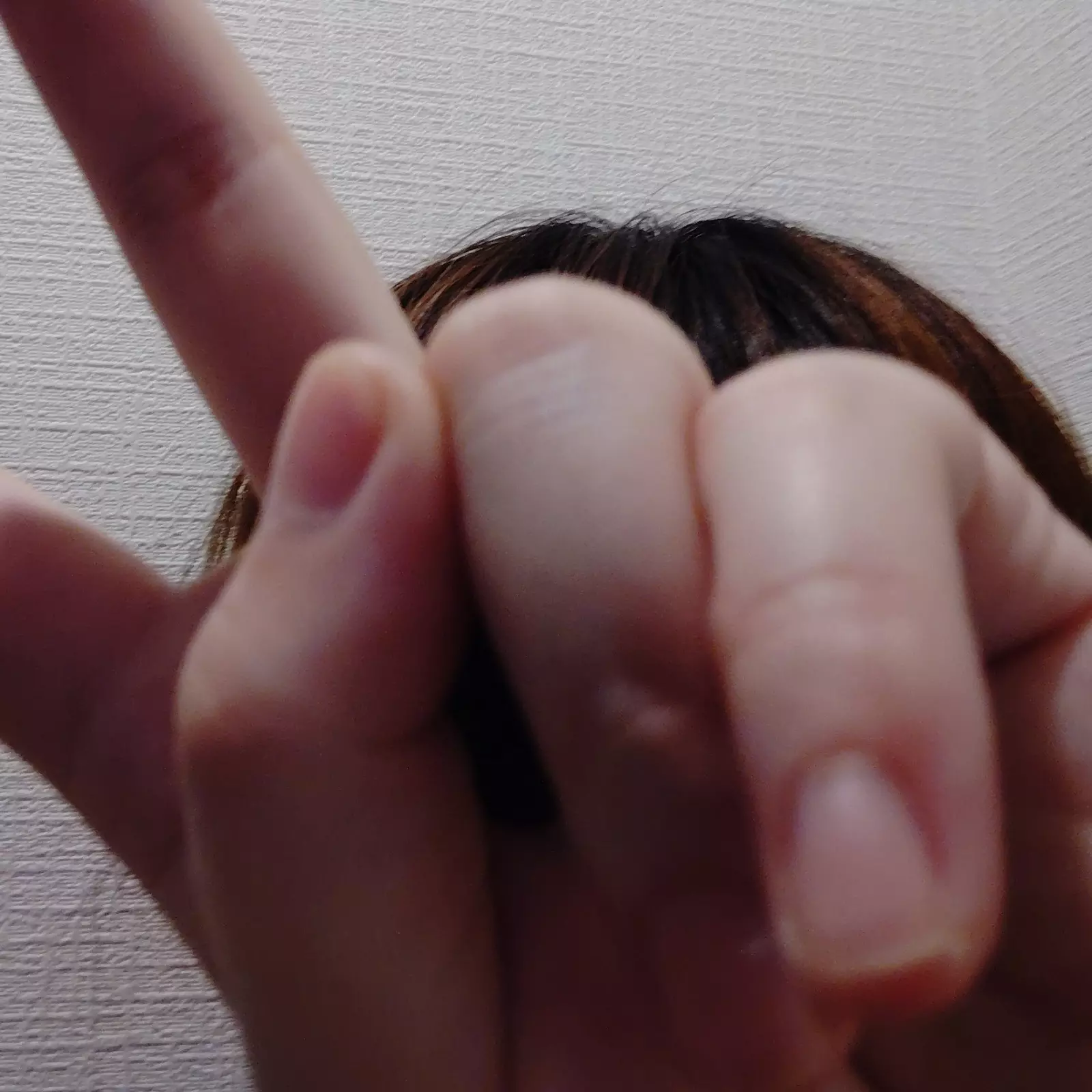 お久しぶりです