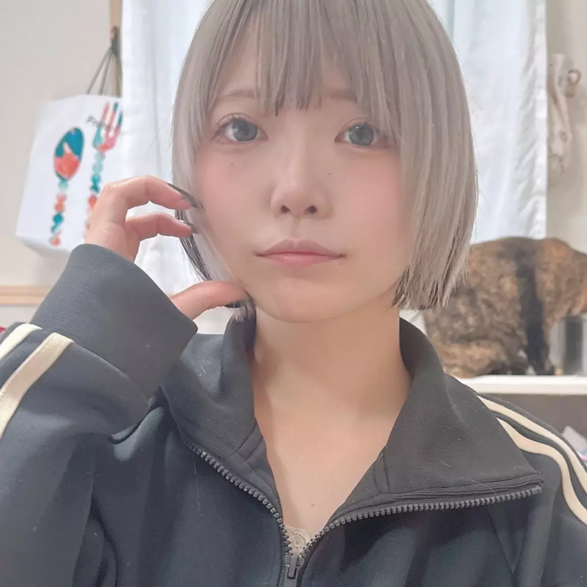 お久しぶり……？