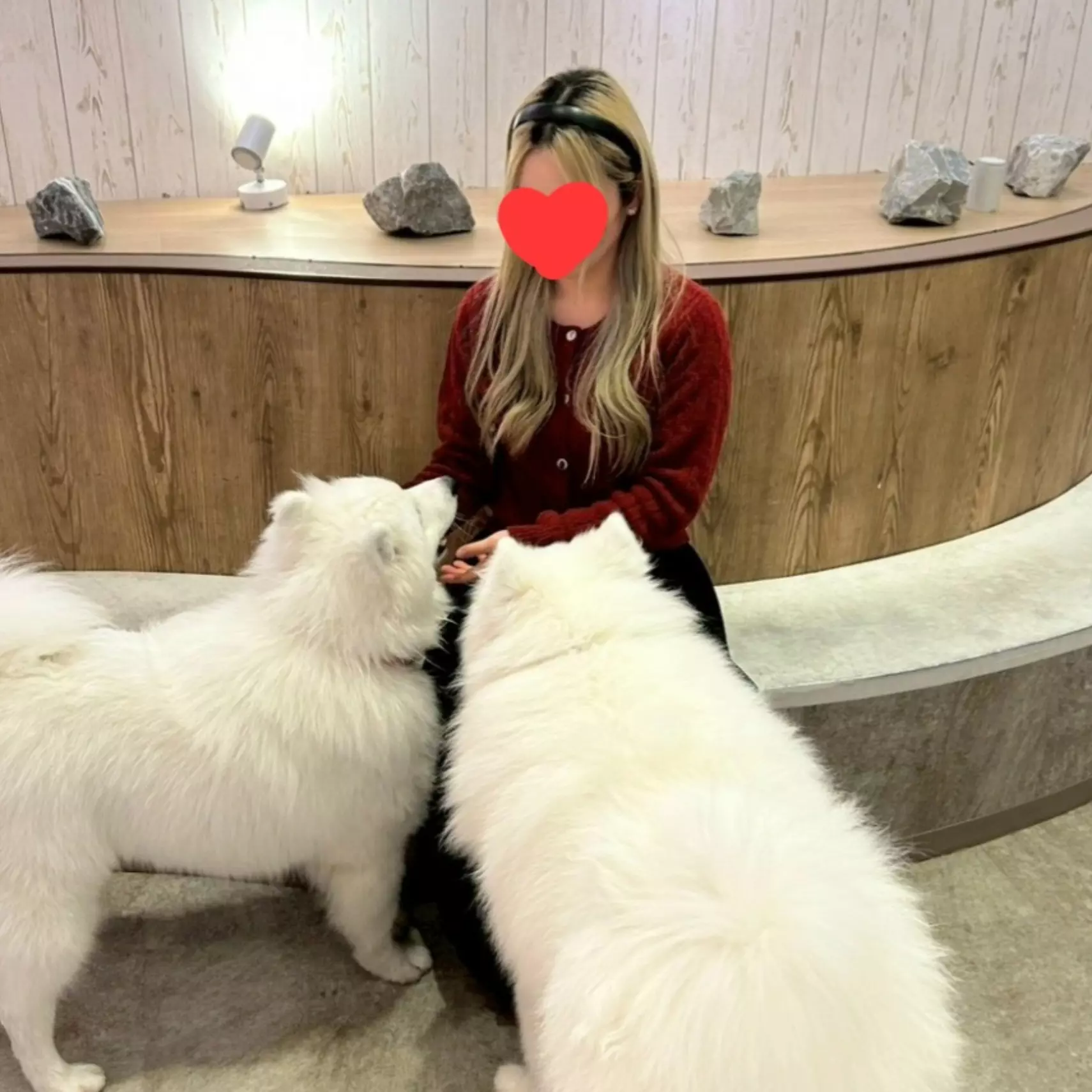 みんなごめんね?