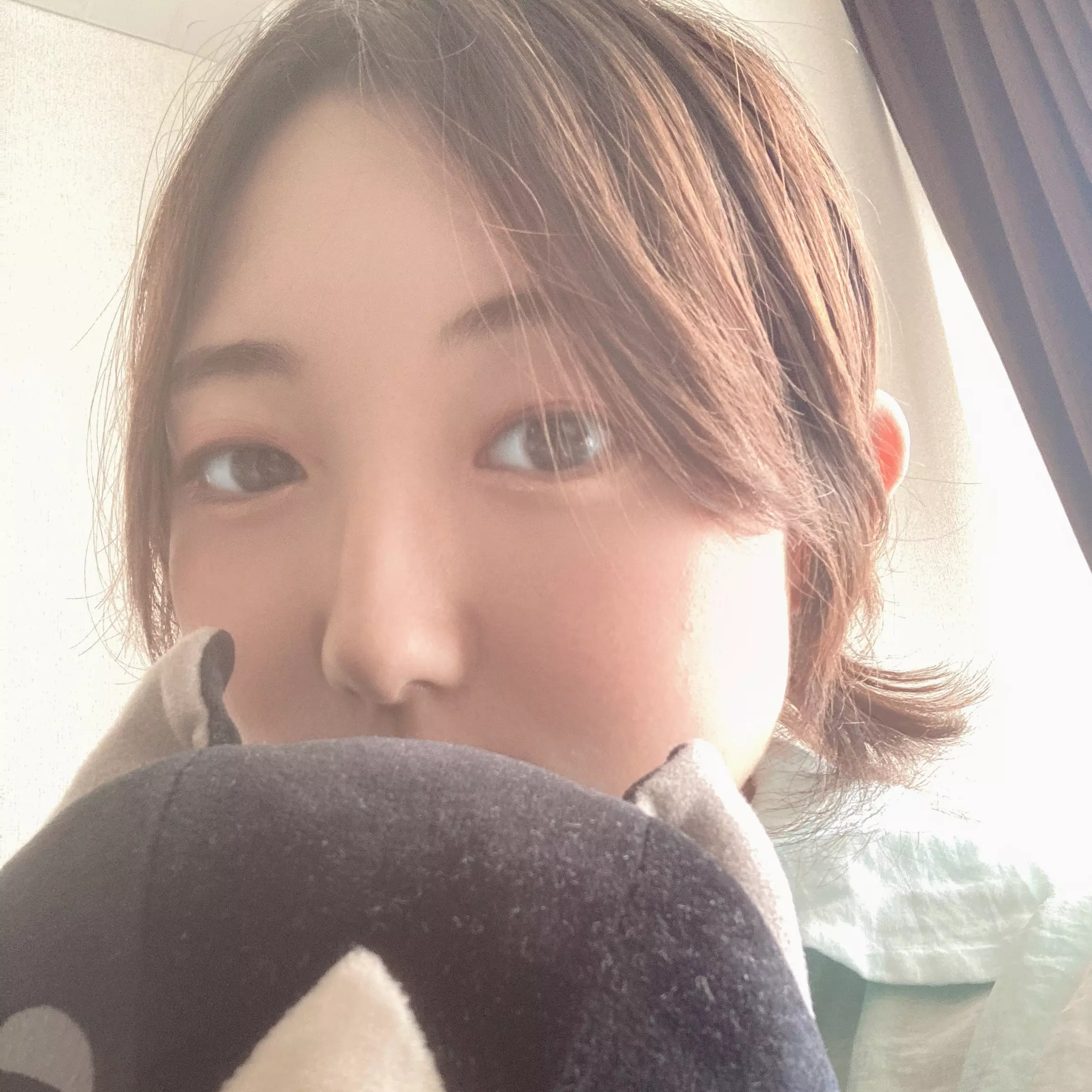 本日ライブ予定……