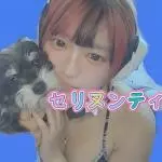 セリヌンティちゃんの写真