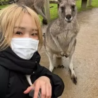 ライブでゴーゴー/ノンアダルト/みー