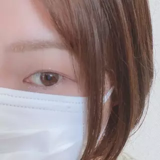 犬最高