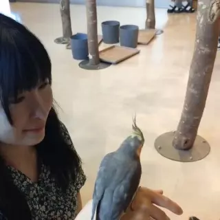 大切な日