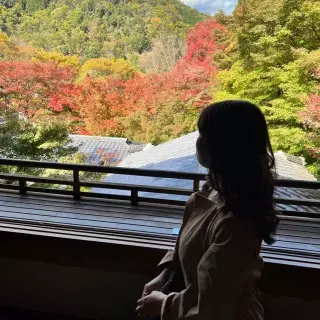 ライブでゴーゴー/ノンアダルト/まいまい