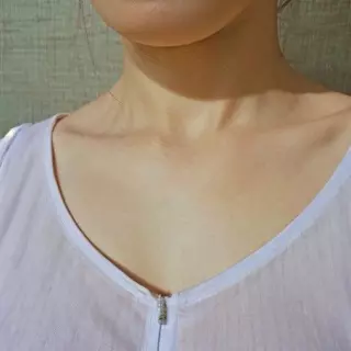 押井守