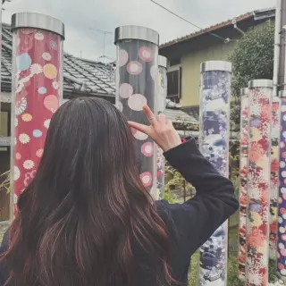 はじめてみました