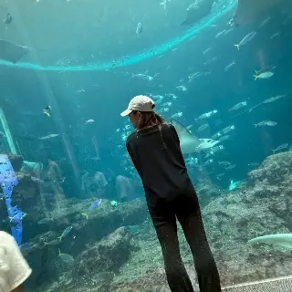 初ブログ