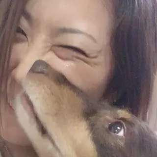 ストレッチ