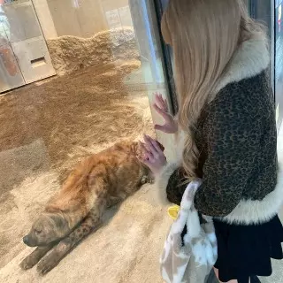 君と話したいなー