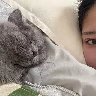 連休最終日?